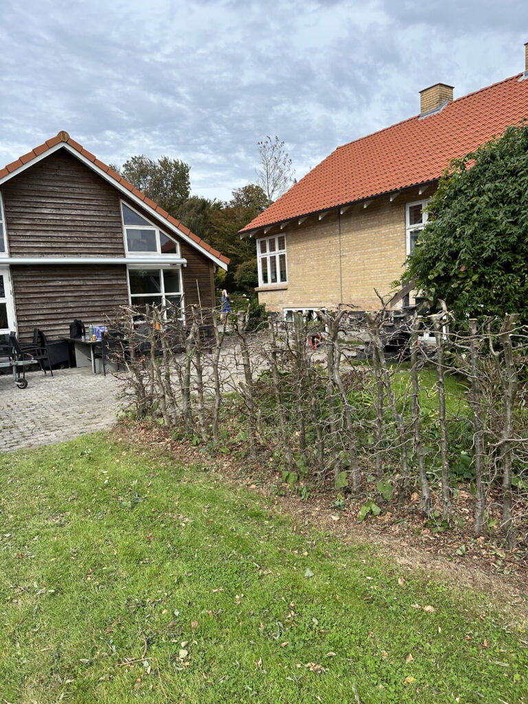 Have - efter